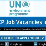 United Nations Environment Programme (UNEP)